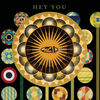 Cover art for Hey You [Digital 45] by 311