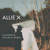 'Casanova (The Wild Remix) - Single' by Allie X