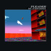 Cover art for Pleader (feat. The Age of L.U.N.A) [Mr. Jukes Remix] - Single by Alt-J