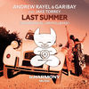 Cover art for Last Summer (feat. Jake Torrey) [Andrew Rayel & Drym Club Mix] - Single by Andrew Rayel