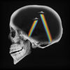 Cover art for Dreamer (Remixes) - EP by Axwell Λ Ingrosso