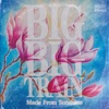 Cover art for Made from Sunshine - Single by Big Big Train