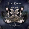 Cover art for Tränenherz 2 by BlutEngel