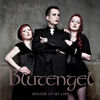 Cover art for Winter of My Life - Single by BlutEngel