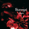 Cover art for Live Lines by BlutEngel