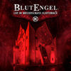 Cover art for Live im Wasserschloss Klaffenbach by BlutEngel