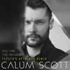 'You Are the Reason (Tiësto's AFTR:HRS Remix) - Single' by Calum Scott