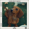 Cover art for Learn How to Watch (feat. MAC MILLER & MadeinTYO) - Single by Carnage