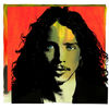 Cover art for Chris Cornell (Deluxe Edition) by Chris Cornell