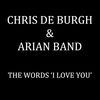 'The Words "I Love You" (Radio Edit) - Single' by Chris de Burgh