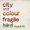 Cover art for Fragile Bird - Single by City and Colour