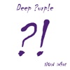 Cover art for Now What?! by Deep Purple