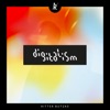 Cover art for Knight Life - Single by Digitalism