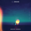 Cover art for Broken Summer (feat. Max Frost) - Single by DJ Snake