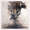 Cover art for The Weight of Your Love by Editors