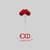 Cover art for I Love You - Single by EXID