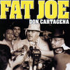 Cover art for Don Cartagena by Fat Joe & Remy Ma