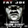 Cover art for (Ha Ha) Slow Down [feat. Young Jeezy] - Single by Fat Joe & Remy Ma