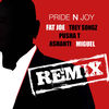 Cover art for Pride N Joy Remix (feat. Trey Songz, Pusha T, Ashanti & Miguel) - Single by Fat Joe & Remy Ma