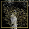 Cover art for Engravings by Forest Swords