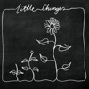 Cover art for Little Changes (Acoustic) - Single by Frank Turner
