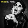 Cover art for Matador by Gaz Coombes