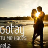 'Tu Me Haces Feliz - Single' by Gotay