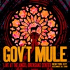 Cover art for Live at the Angel Orensanz Center, New York City, NY, December 28, 2008 by Gov't Mule