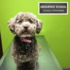 Cover art for Obedience School - Single by Kristin Chenoweth