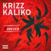 Cover art for Forever - EP by Krizz Kaliko