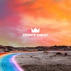 Cover art for Don't Mind - Single by Louis the Child