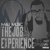 Cover art for The Job Experience - Single by Mali Music