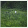 Cover art for The Gold - Single by Manchester Orchestra