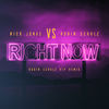 Cover art for Right Now (Robin Schulz VIP Remix) - Single by Nick Jonas