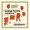 Cover art for Sunbathing Animal / Content Nausea by Parquet Courts