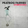 Cover art for The Jesster - Single by Peatbog Faeries