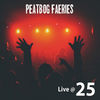 Cover art for Live @ 25 by Peatbog Faeries