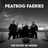 Cover art for The Sister of Moses (feat. Heather Macleod, Gina Rae & Helena Kay) - Single by Peatbog Faeries