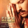 'Pepe Aguilar Interpreta A Joan Sebastián' by Pepe Aguilar