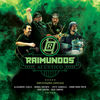 Cover art for Acústico - Ao Vivo by Raimundos