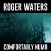 Cover art for Comfortably Numb 2022 - Single by Roger Waters