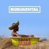 Cover art for Toast to our Differences by Rudimental