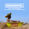 Cover art for Toast to our Differences (feat. Jaykae, Cadet & Shungudzo) [Remix] - Single by Rudimental