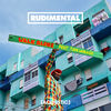 Cover art for Walk Alone (feat. Tom Walker) [Acoustic] - Single by Rudimental