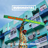 Cover art for Walk Alone (feat. Tom Walker) [Remixes] - Single by Rudimental