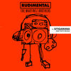 Cover art for Sitigawana (feat. Faith Mussa) - Single by Rudimental