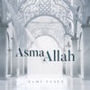 Cover art for Asma Allah - Single by Sami Yusuf