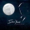 Cover art for Wherever You Are by Sami Yusuf