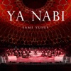 Cover art for Ya Nabi (Stepping into Light) [Live] - Single by Sami Yusuf