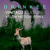 Cover art for Drinkee (Vintage Culture & Slow Motion! Remix) - Single by Sofi Tukker